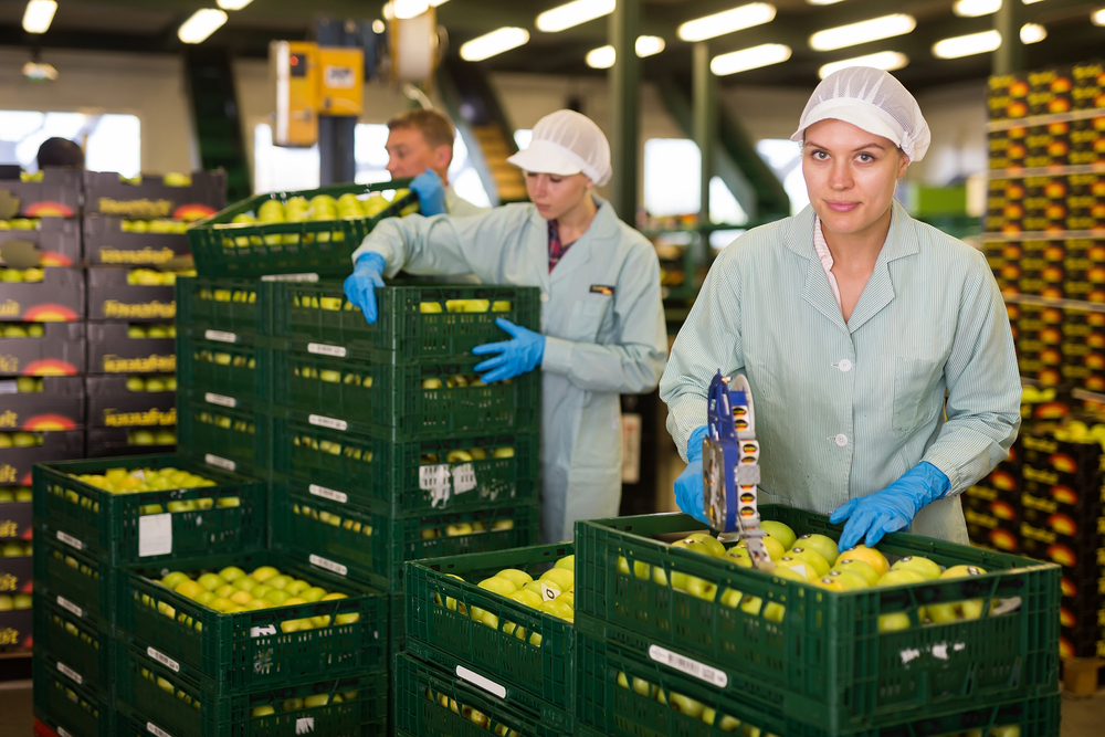 Food Labelling Regulations Training
